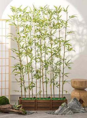 加密仿真竹子商场隔断单根竹子仿真绿植落地观叶仿真树景观装饰树