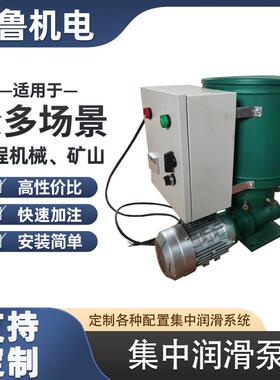 集中润滑泵多点润滑泵单线双线润滑泵定时定量加油DD吧泵工厂直销