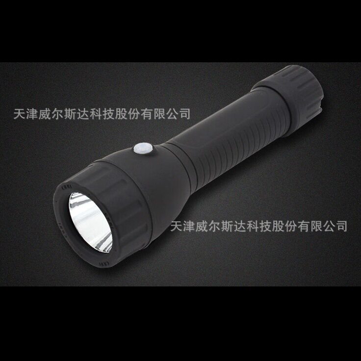 浙江正辉照明CHHI正辉假一罚十便携式电筒BXD5200