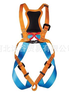 捷克SingingRockZAZAC5069扎扎儿童多用途可调节全身安全带