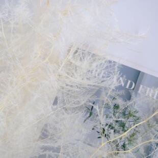 婚礼装饰花悬挂花永生花文竹软装墙面装饰浮游瓶干花花材现货