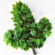 仿真榕树叶过胶假树叶绿色大叶子塑料树枝干绿叶室外装饰绿植道具