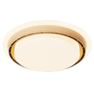 风2025款隐形静音厅新卧室吸顶灯房间电扇吊扇灯全餐光谱无叶扇灯