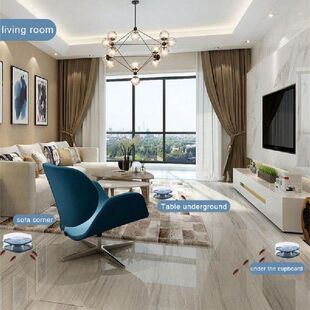 Trap Garden Effective Kitchen Insect 极速Cockroach