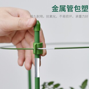 园艺植物攀爬架 花支架 绿萝铁艺花架固 月季 极速花盆支架爬藤架