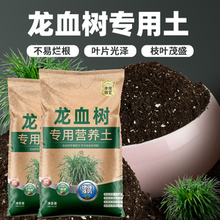 速发龙种栽血树专用土种种须树营养土蓬松泥土无菌土壤专用肥料龙