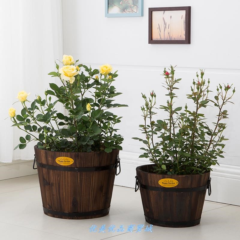 速发圆形花盆碳化木 花烧花桶花樽火箱花盒台木花种菜绿植花盆种