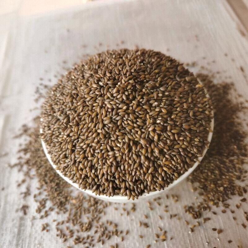 速发儿壳加纳利子/加纳仁/加纳碎/虎皮牡丹凤玄文鸟无壳粮鸟脱爱