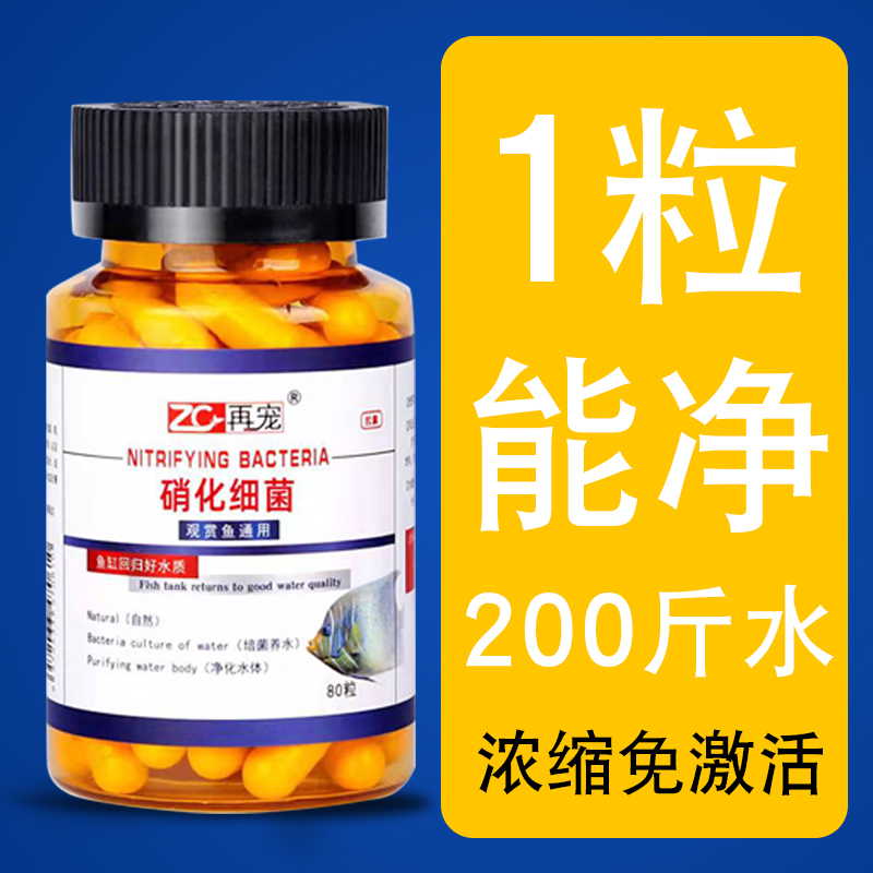 速发硝化鱼缸净水剂水粉稳剂定鱼药消化活菌干质养鱼用品