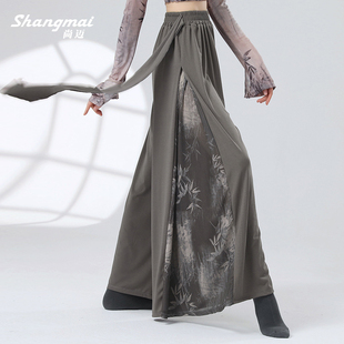 速发中体风古典舞裙装 形国训练服 艺考舞舞蹈练功服飘逸服裤