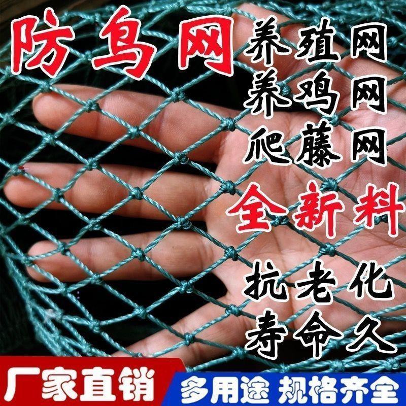 12股1厘米养鸡网渔网养殖网鱼网护栏网防护网菜园围栏网尼龙网子