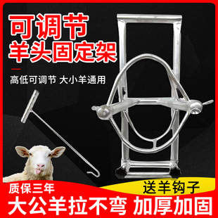 羊头固定架升降调节剪羊毛羊用固定器配种挤羊奶打针兽用保定架