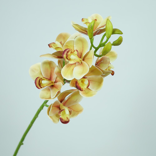 简约清新仿真手感樱桃蕙兰花客厅餐桌插花装饰花盆栽摆件婚庆花艺