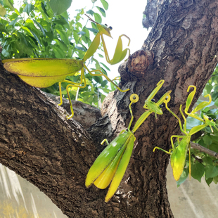 田园风铁艺螳螂壁饰摆件庭院装饰品户外别墅院子墙上壁挂件家居