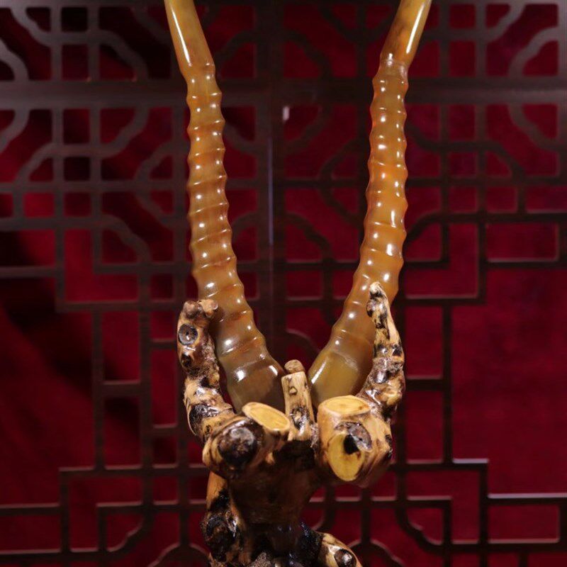 纯天然0羊摆件真品实心可做摆件中药材可入药文玩收藏整角田园