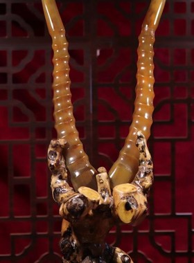 纯天然0羊摆件真品实心可做摆件中药材可入药文玩收藏整角田园