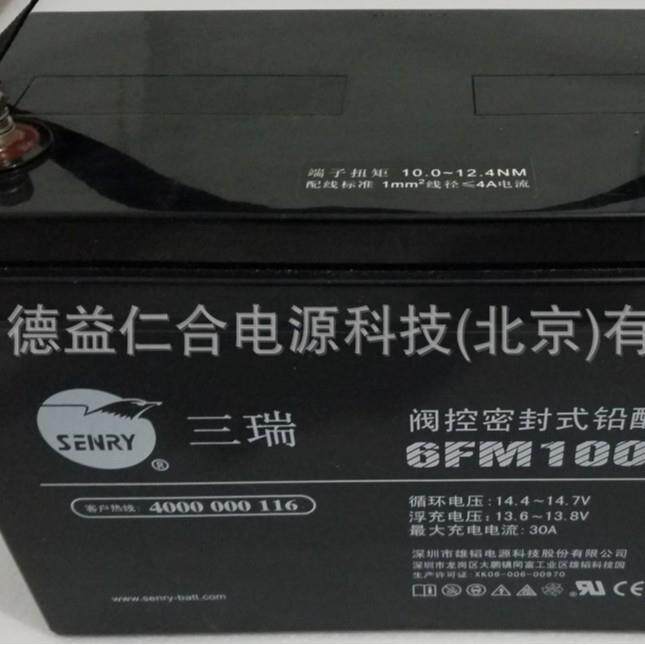三瑞蓄电池6FM10012v100AH铅酸蓄电池