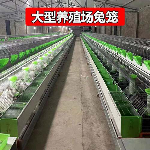大型养殖场自动化兔笼热镀锌丝子母兔笼自动笼子清粪设备