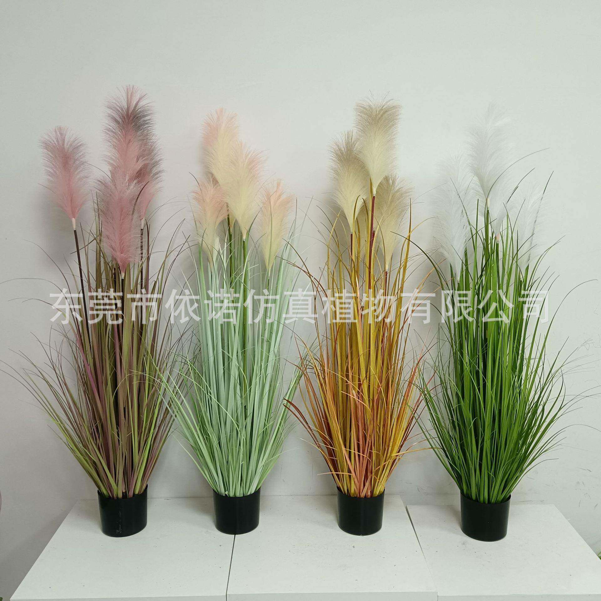 仿真芦苇狗尾巴草仿真植物盆栽装饰造景仿真花芦苇草洋葱草
