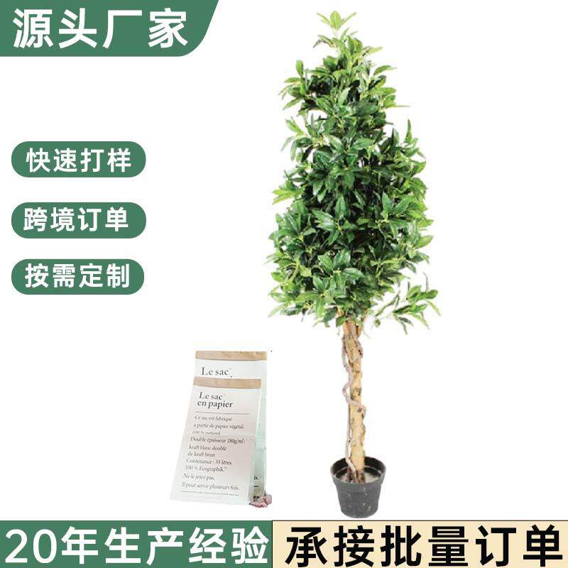 北欧仿真月桂树人造桂花盆景家居装饰绿植月桂树盆栽落地仿真植物