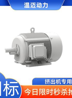 温迈动力132M机座号永磁电机直驱电机开炼机专用