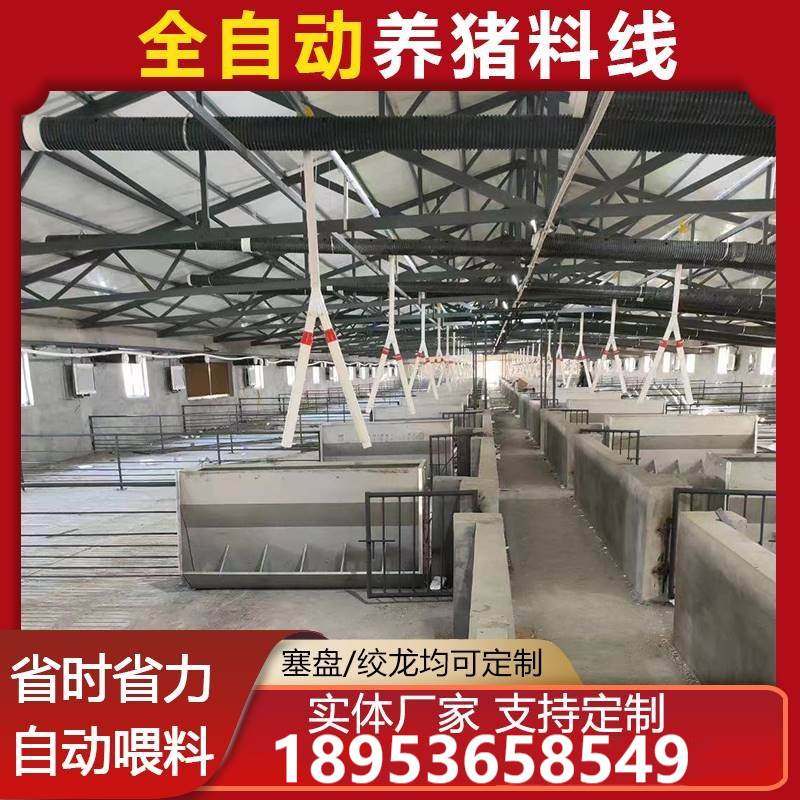养猪场料线配件全套设计养殖场自动喂料设备料塔塞盘绞龙简易料线