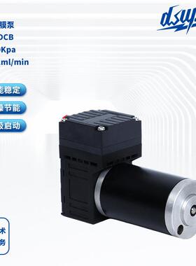 气体隔膜泵DS06DCB无刷隔膜微型真空泵12V/24V气体采样泵供应