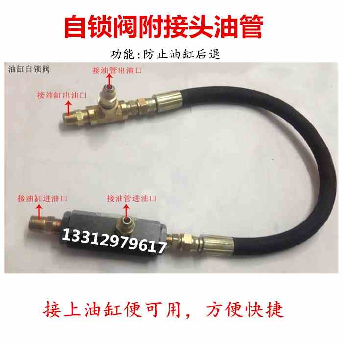 自锁油缸 模具油缸用自锁阀防止油0缸后专退 进口自锁阀CPTS-3