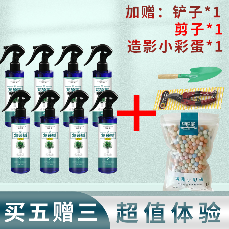 龙血树龙须树专用肥料龙血树怎么养盆栽植物室内绿植养花有机肥