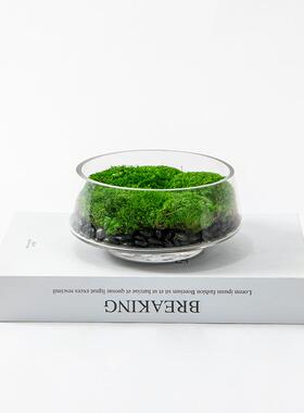 新中式简约仿真花艺绿植室内植物酒店永生苔藓造景盆栽茶室桌摆件