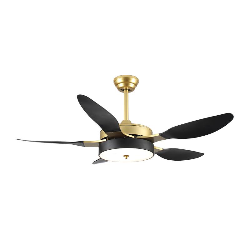 变l静d风扇灯客厅餐厅频卧室音五叶家用电扇吊灯风扇e灯厂家