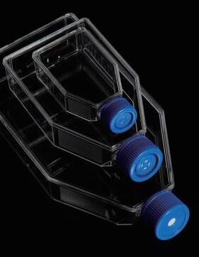 巴罗克密封盖细胞培养瓶PS材质人体工学设计07-9075