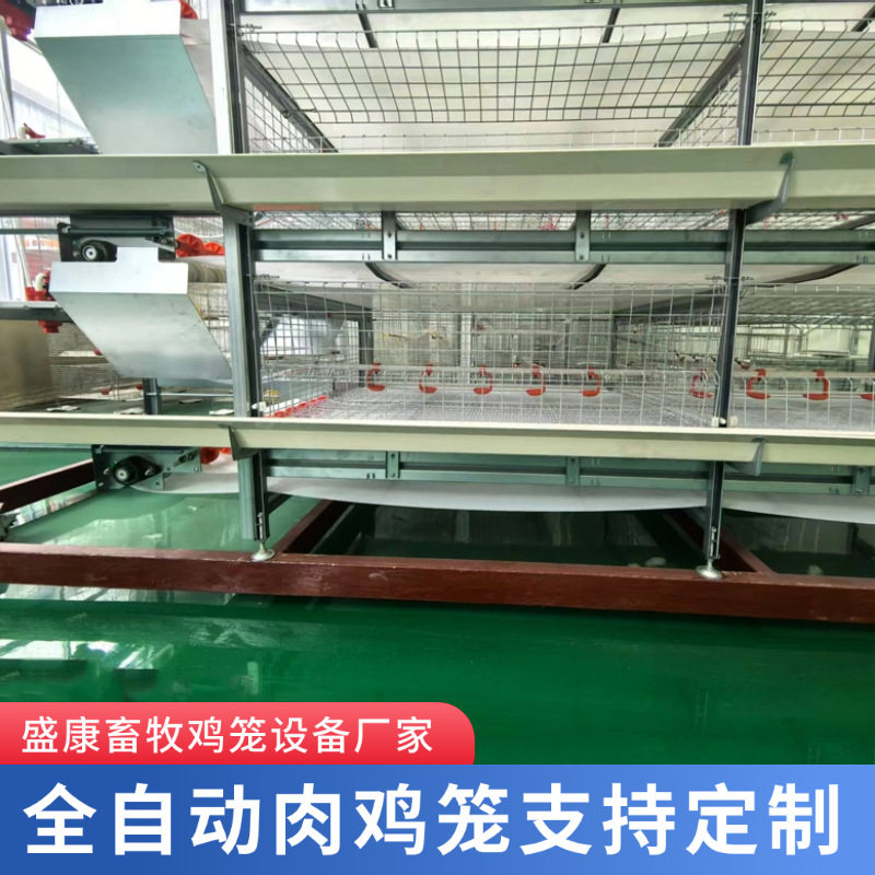 肉鸡笼镀锌自动H型立式框架式育雏笼鸡笼养鸡笼子养设备全自动