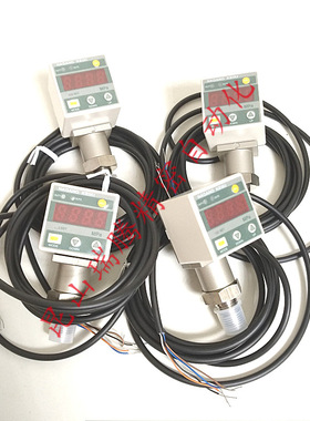 GC61-174-17N380XXXXX1数字压力计NaganoKeiki长野计器NKS