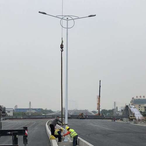 市电路灯 8米10米12米灯杆户外模组led市政工程双臂路灯