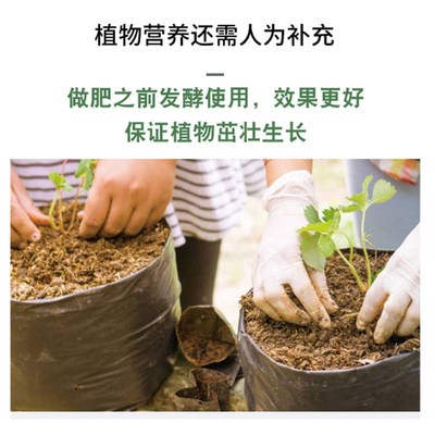 速发菜籽饼家菜子饼油料菜枯肥枯饼有机肥农油肥钓鱼打窝钓饵包邮