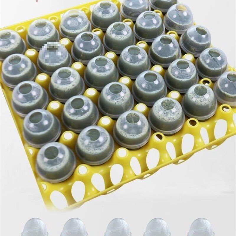 速发实蛋模具蛋蛋器模壳蛋具石蛋制作器商用实蒸壳烧烤实蛋模具