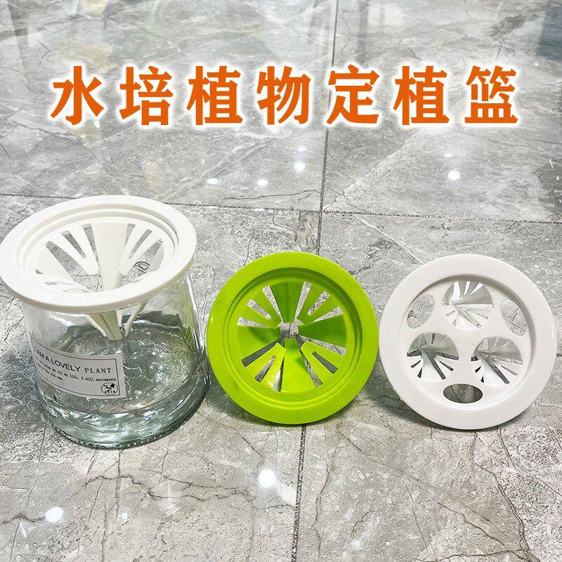 速发水培定植篮养发财树观音竹红薯绿植物固定支撑塑料架子花卉控