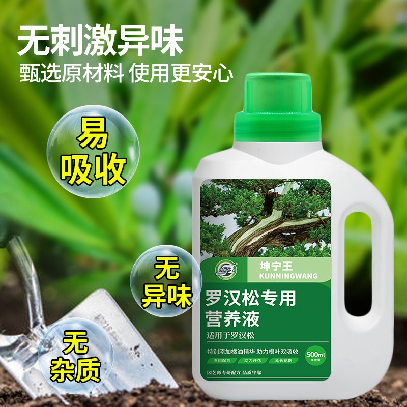 罗汉松专用肥营养液有机肥料泰山松雀舌四季大阪松树盆栽景通用型
