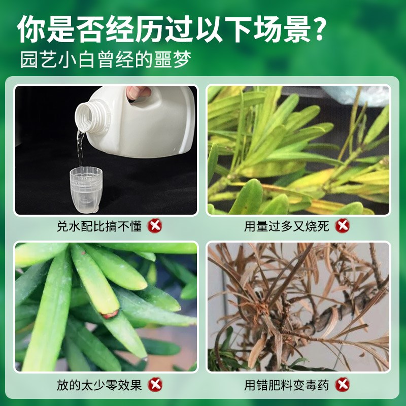 罗汉松专用肥营养液有机肥料免稀释室内盆栽植物通用型家用盆栽景