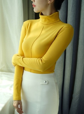 Slim Womens Sweater  Winter Autumn Turtleneck Women Basic Pu