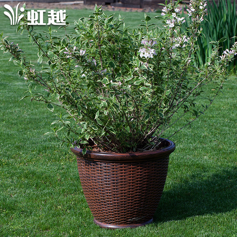 【虹越】华锦自产仿藤编花盆12/16寸塑料花盆庭院装饰