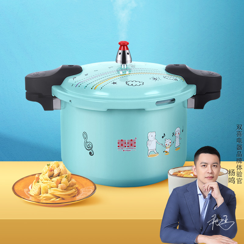 特小压力锅不粘锅高压锅家用燃气电磁炉通用防爆压力锅18/20CM