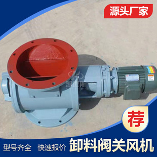 风送式旋转阀 DXV-Y星型卸灰阀 刚性叶轮给料机 锁气不锈钢闭风器