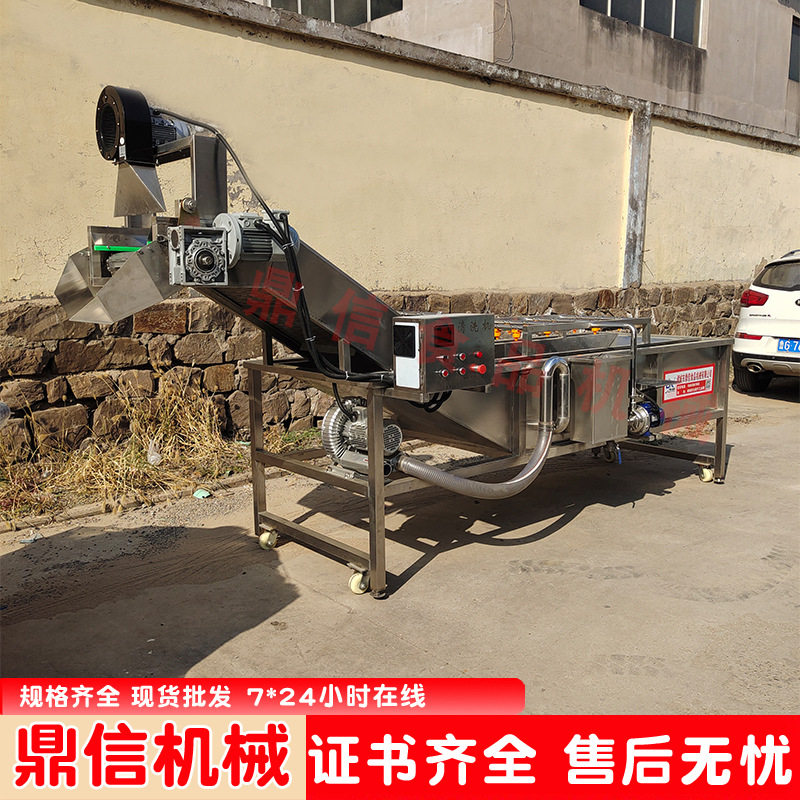 大型果蔬清洗机 毛刷气泡式清洗机 果蔬喷淋气泡清洗设备 不锈钢