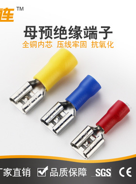FDD2-250预绝缘冷压接线母端子 6.3铜鼻子 插簧接线耳 母接线端头
