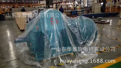 YE2电机YE2高效电机YE2-4502-6-560KW电机全铜线冷轧钢片国标铸件