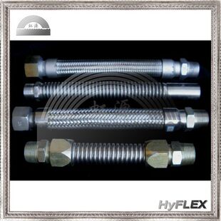 金属软管 不锈钢波纹软管 丝口 内外丝螺纹螺母接头 DN20 DN25