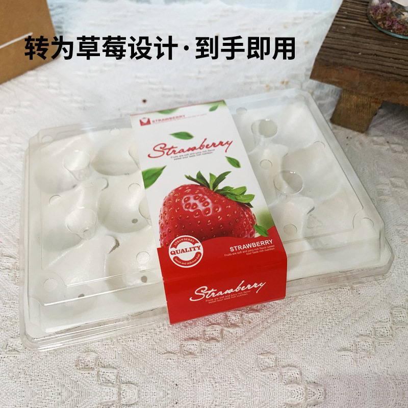 一次性草莓透明商用塑料精品高档泡沫带腰封食品级水果打包盒子