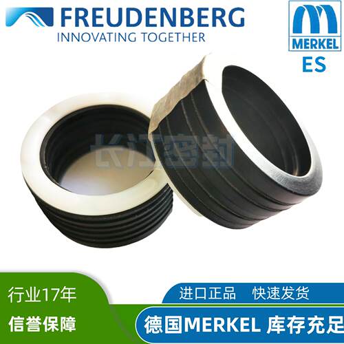 1MERKEL FREUDENBERG DM-1170 55-70-5.5-22.5 E9598/1 ES油封